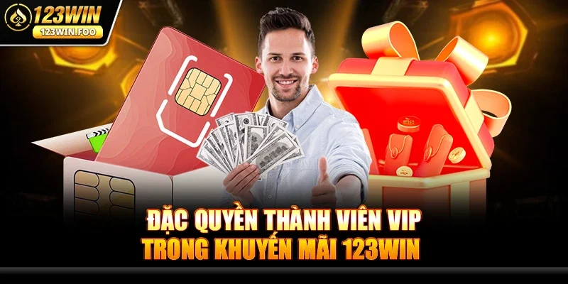 Khuyến mãi 123win - Bùng nổ ưu đãi vàng cho game thủ 2 Đặc quyền thành viên VIP trong Khuyến mãi 123win