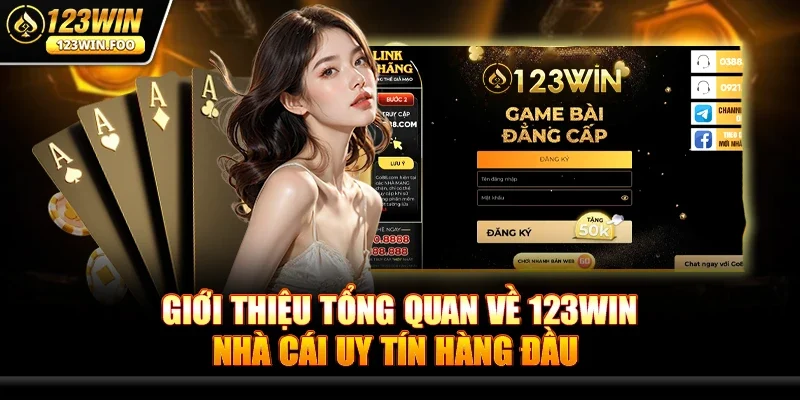 Khuyến mãi 123win - Bùng nổ ưu đãi vàng cho game thủ 1 Giới thiệu tổng quan về 123win – Nhà cái uy tín hàng đầu