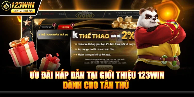 Giới thiệu 123win - Nhà cái giải trí đỉnh cao cho người chơi 2 Ưu đãi hấp dẫn tại Giới thiệu 123win dành cho tân thủ